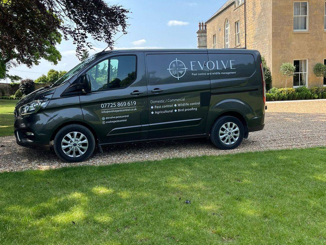 Evolve Pest Control at work